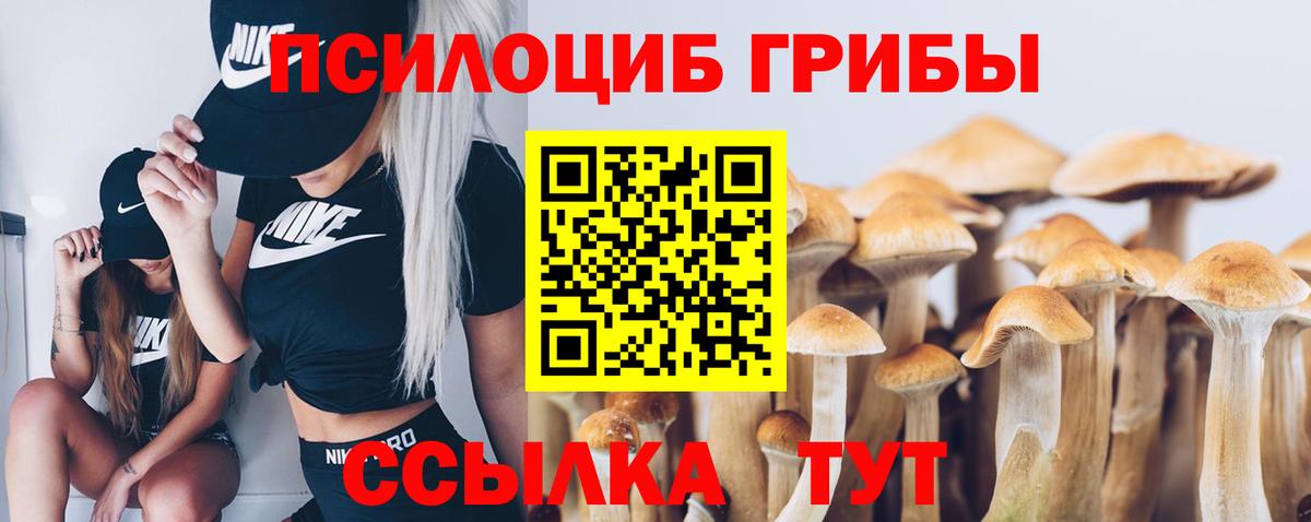 Галлюциногенные грибы GOLDEN TEACHER Лобня