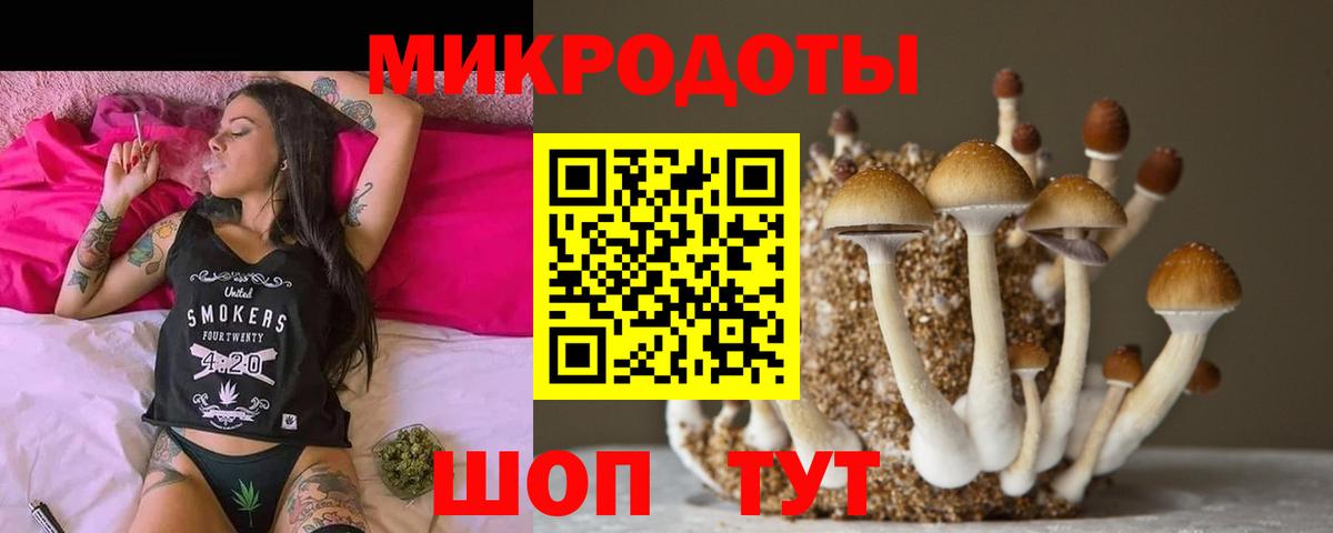 Галлюциногенные грибы MAGIC MUSHROOMS  Вход с VPN  Лобня 